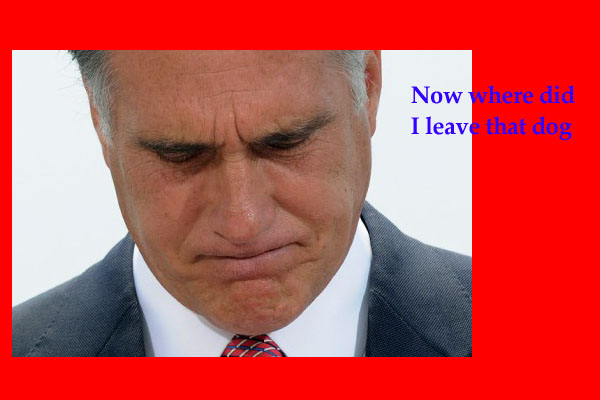 Mitt wondering 'Now where did I leave that dog'