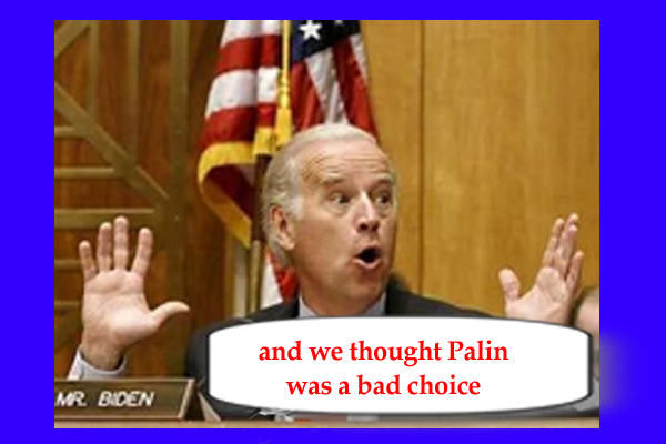 and we thought Palin was a bad choice