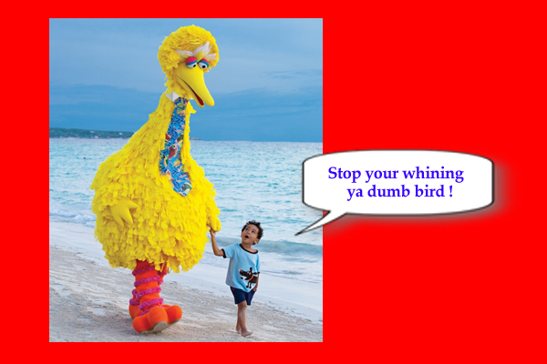 Big Bird whining about Romney